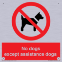no-dogs-except-assistance-dogs~